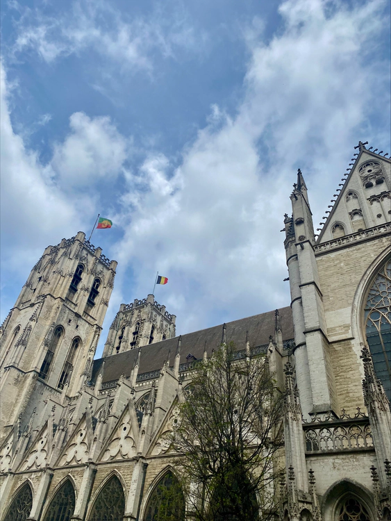 Brussels Cathedral