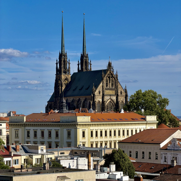 Cathedral of St. Peter and Paul (Brno)