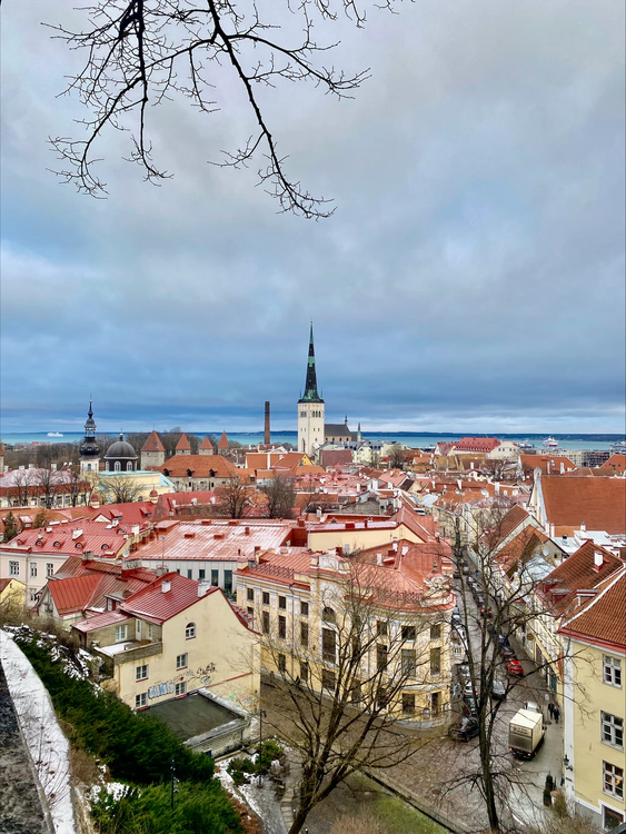 Tallinn