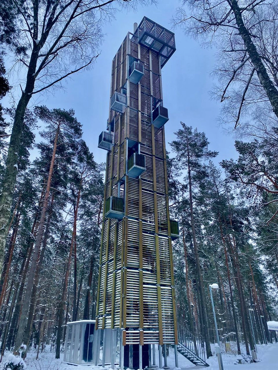 Dzintari Forest Park (Jurmala)