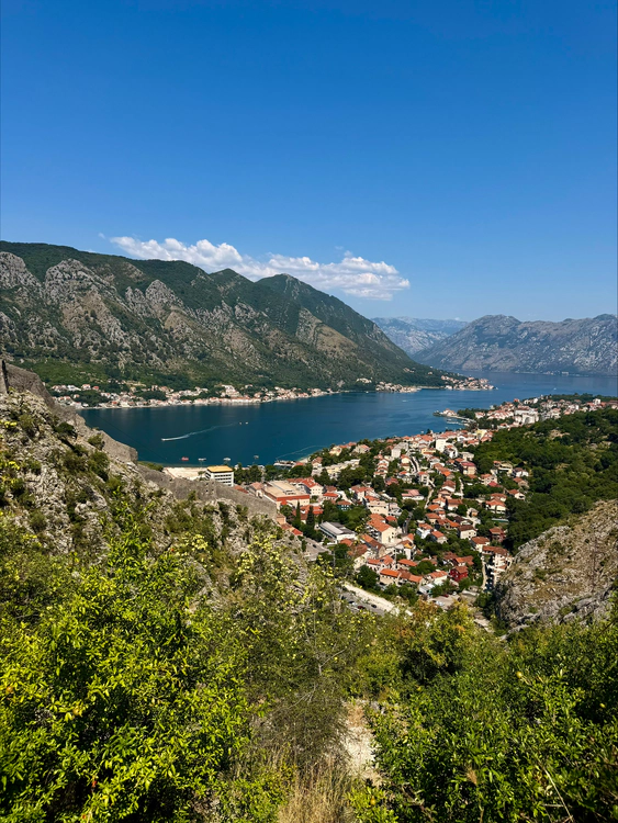 Kotor