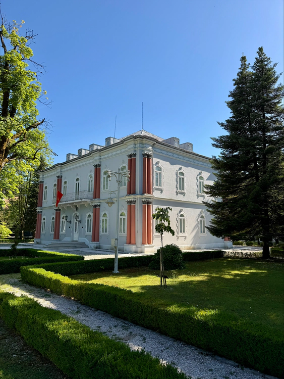 Blue Palace